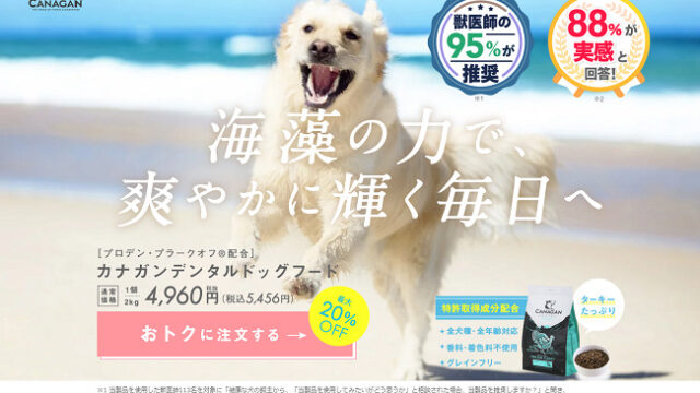 ドッグフード プロフェッショナルバランス 1歳 からの成犬用 ライト 6キロ 500g×12袋 犬 国産 最大53％オフ！